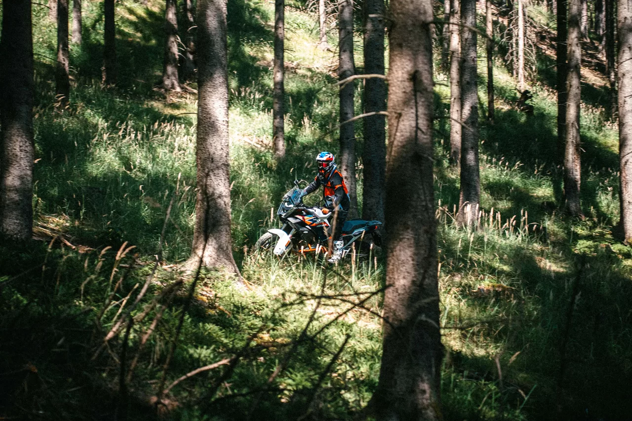 Offroad-Fahrer auf dem Motorrad zwischen den Bäumen