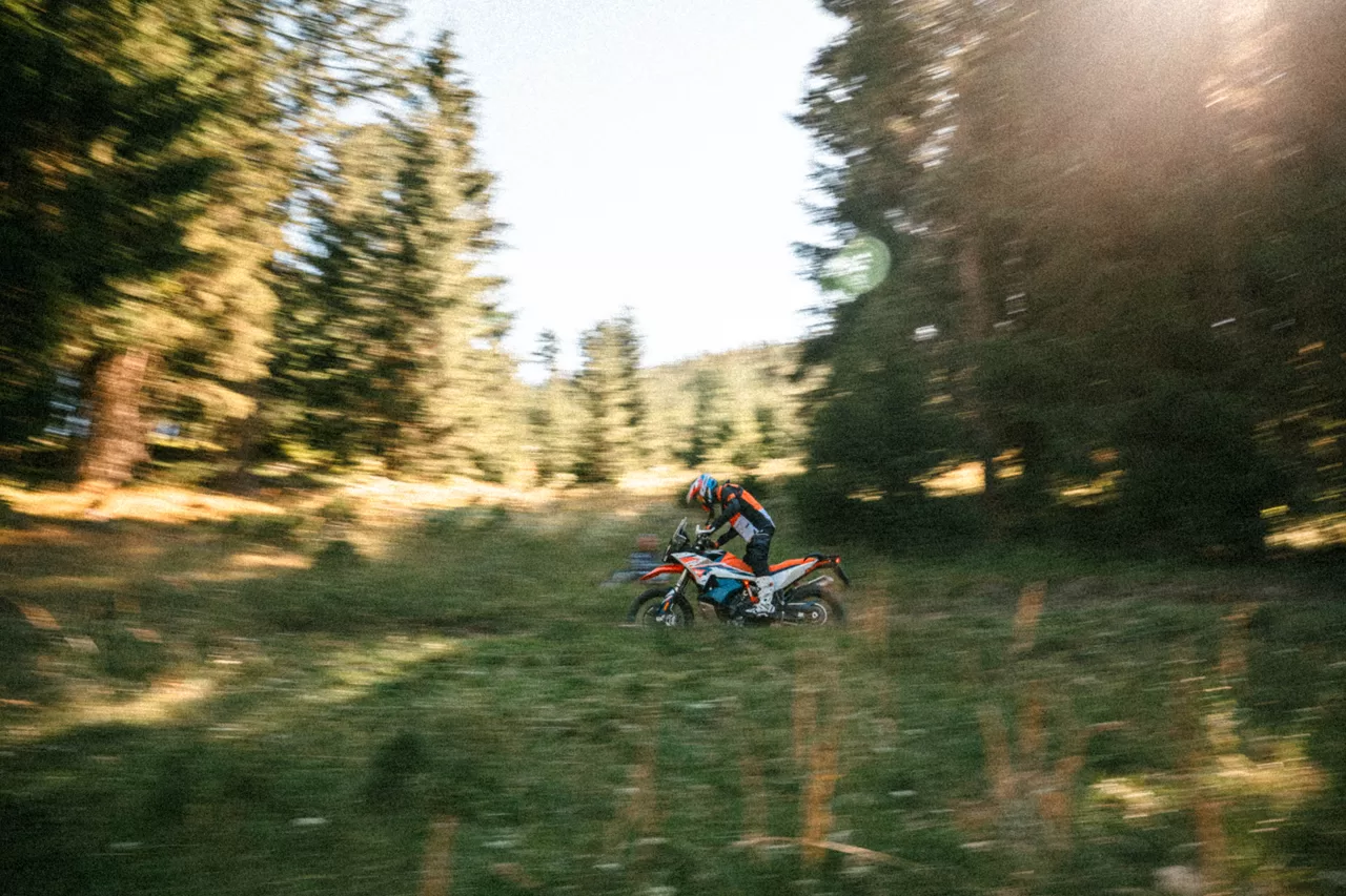 Dynamischer Mitzieher eines Offroad-Fahrers zwischen den Bäumen